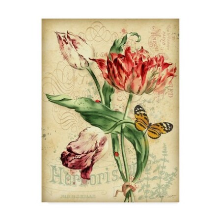 Trademark Fine Art Jean Plout 'French Florals 2' Canvas Art, 35x47 ALI37553-C3547GG